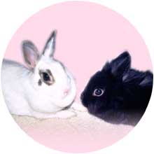 ダンケとビッテはとても仲良し！